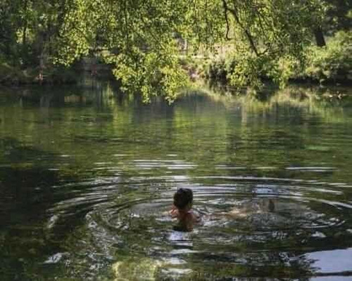 Finca En Bonao Cerca Del Río Yuboa