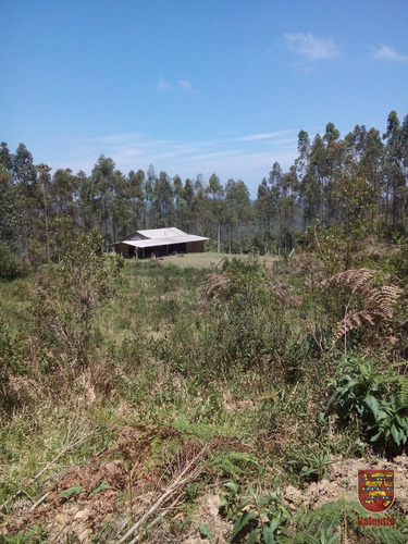 Imagem 2 de 8 de Area - Distrito Rio Das Pedras - Ref: 2634 - V-2634