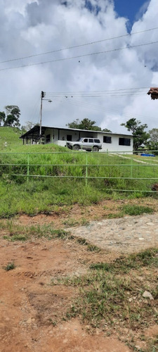 Imagen 19 de 27 de Finca En Venta Chiguará