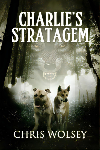 Charlie's Stratagem, De Wolsey, Chris. Editorial Lightning Source Inc, Tapa Blanda En Inglés