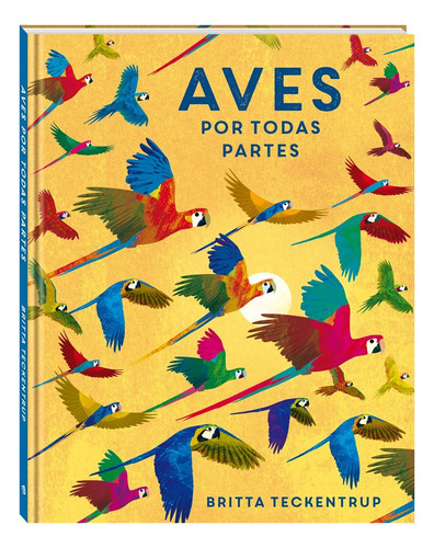 Aves Por Todas Partes, De Teckentrup, Britta. Andana Editorial, Tapa Dura En Español