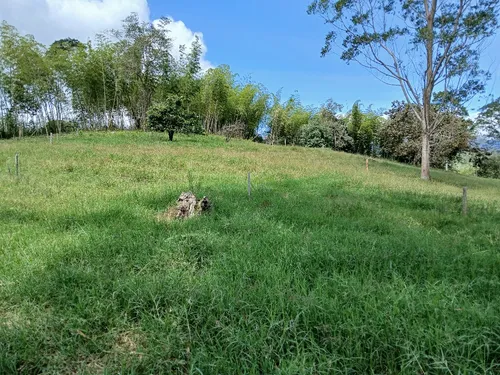 Vendo Finca Ganadera En Restrepo Valle