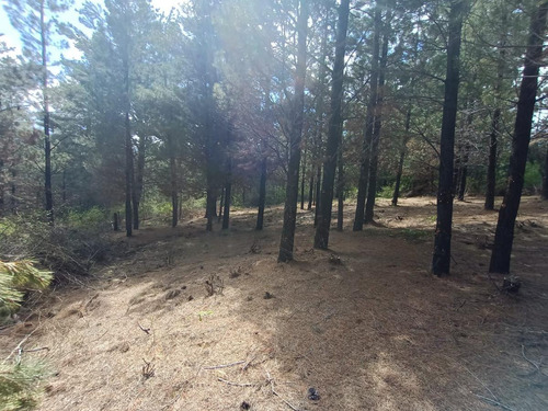 Imagen 1 de 12 de Terreno - Epuyen