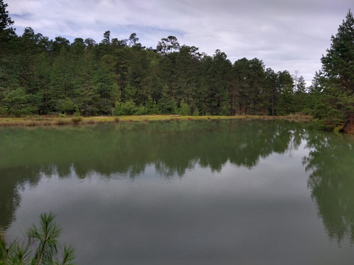 Imagen 6 de 14 de Rancho En Venta En Agua Blanca Pachuca Hidalgo