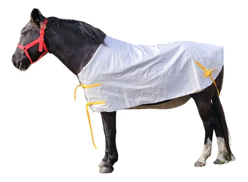 comprar Capa Plastillera Para Caballos, Envíos Gratis A Todo El País