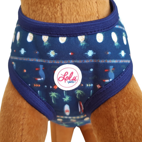 Arnés Pretal Perro Talle Xl Acolchado Con Correa Lola Pets