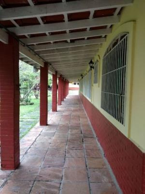 Imagem 4 de 14 de Chácara Em Itanhaém-jd. Umuarama Prox À Pista, 6dorm. 3877
