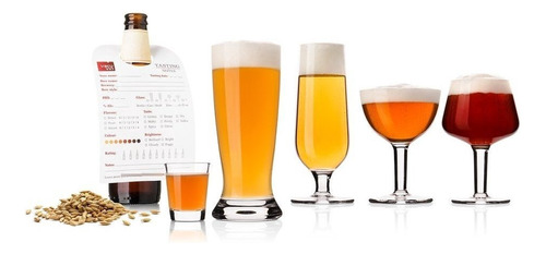 Set De Diez Vasos De Cata/ Degustación Para Cerveza Vacuvin