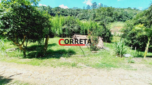 Imagem 6 de 13 de Vendo Chacara Terreno De 2600 M² Com Lago Em Ibiúna-sp - 520