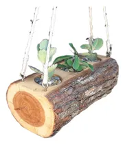 Comprar Materos Maceteros Porrones Jardineras De Tronco De Madera 
