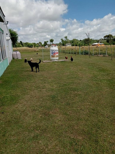 Imagen 11 de 24 de Fondo De Comercio Y Propiedad En Pavón - Geriátrico Funcionando