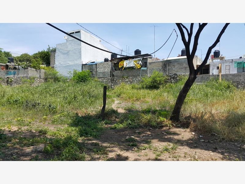 Imagen 2 de 5 de Terreno - Chiapa De Corzo