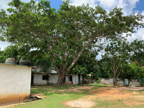 Terreno En Sabaneta, Miranda    Int-042