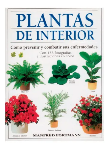 Plantas De Interior