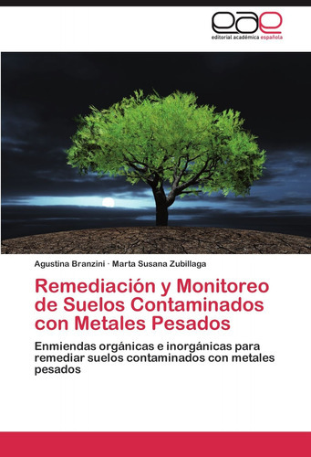 Remediacion Y Monitoreo De Suelos Contaminados Con Metales Pesados, De Agustina Branzini. Eae Editorial Academia Espanola, Tapa Blanda En Español, 2012