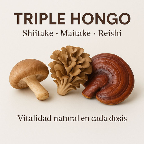 Mix 3 Hongos Funcionales Shiitake + Maitake + Reishi 1 K