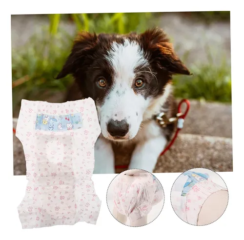 20 Pañales Desechables Para Perros Pañal Gatos Mascotas L
