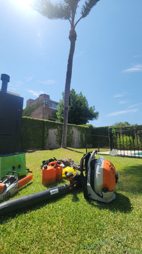 Poda De Arboles Tala Extracciones Raíz Whatsapp 1528694955