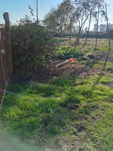 Terreno En Venta En Teno