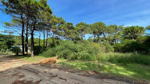 Imagen 6 de 16 de Lote Venta Z/ Norte Pinamar - Lote 11