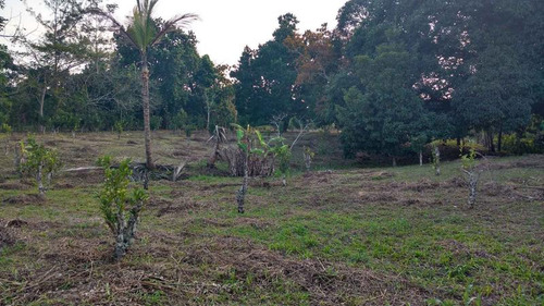 Venta Terreno 5000 M2 Frente Al Estero De Juana Moza Tuxpan Veracruz