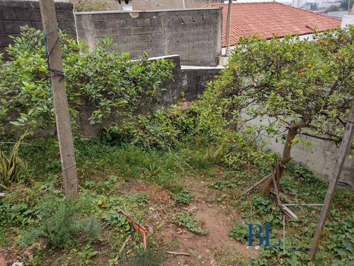 Imagem 9 de 15 de Oportunidade A 250m Da Futura Estação Aricanduva 490m²!! Permuta - Te00104a