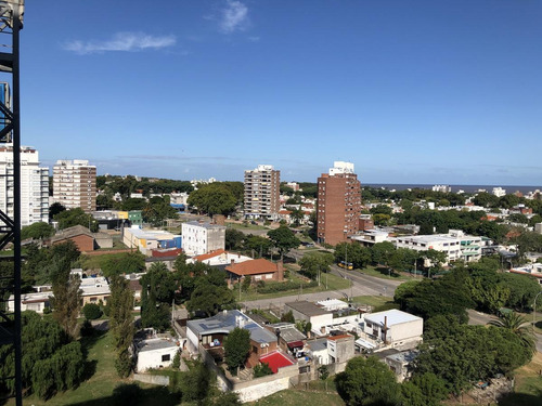 Imagen 6 de 20 de Departamento - Malvín-complejo Pilay - 1 Dorm Con Amplia Terraza Con Renta
