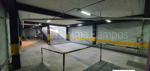 Imagem 5 de 15 de Prédio Comercial Com 1000 M² Na R. Serra De Bragança No Tatuapé - Dp5495