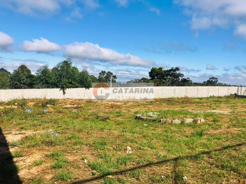 Imagem 11 de 12 de Otimo Terreno Dentro De Residencial