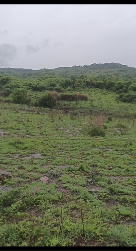 Imagen 23 de 30 de Se Vende Finca De 154 Manzanas