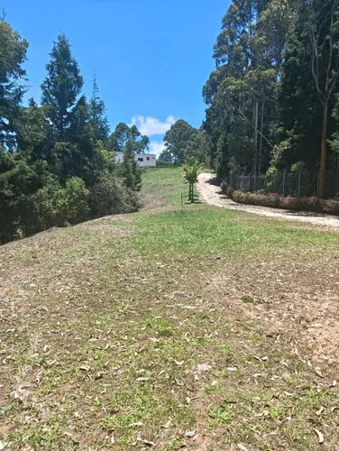 Lote En Rionegro Area 3417m2