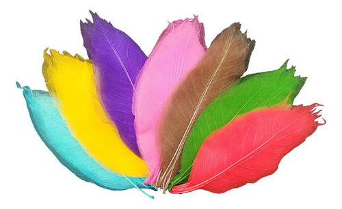 Artesanía Multi Color Esqueleto Hojas Para Diy De Magnolia