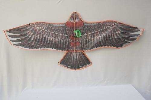 Papalote De Aguila Grande 154x68cm, Cometa O Volantin | MercadoLibre