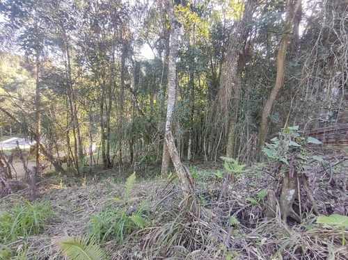 Terreno Perfeito Para Área De Lazer