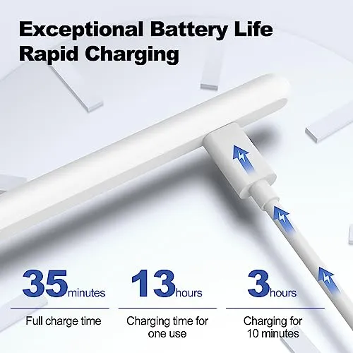 Lápiz Stylus De Carga Rápida iPad Rechazo De Palma, C...