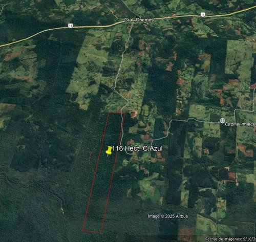 ¡inversión Única! 116 Hectáreas De Monte Nativo En Misiones