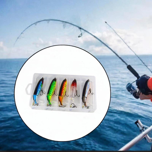 5 Piezas Fishing Señuelos Señuelos De Pesca Cebos 10 Cm