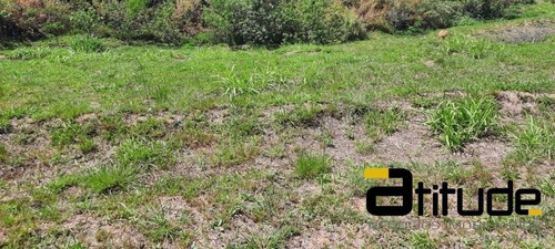 Imagem 3 de 7 de Terreno No Reserva Santa Anna Com 360m2. - 4362