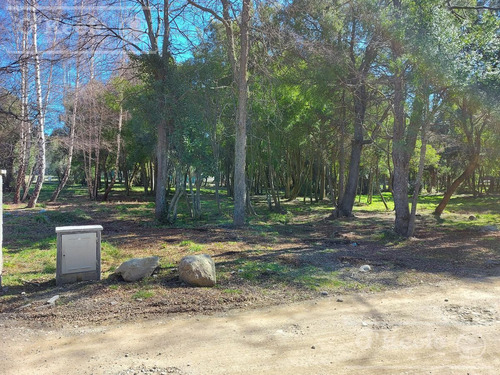 Imagen 7 de 9 de Excelente Terreno A La Venta En Barrio Cerrado Bariloche