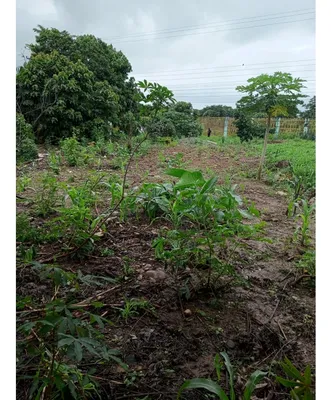 Terreno en venta