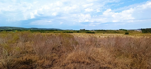 6 Terrenos Linderos A La Venta En Marco De Los Reyes - Vista