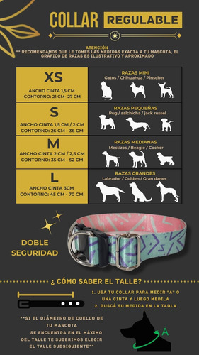 Collar Para Mascotas Perro Gato Con Nombre- Todos Los Talles Varios Rocco Blue M - 35 A 52 Cm