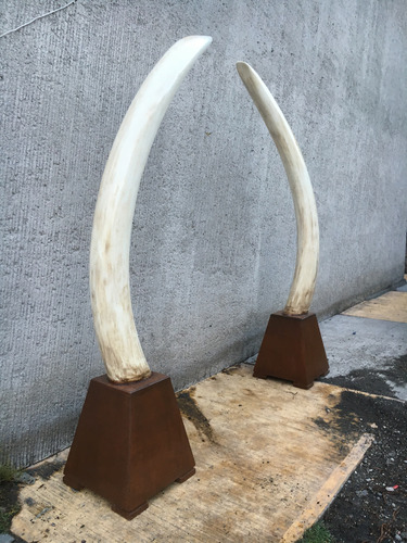 Animales Disecados 100 % Artificiales Colmillos De Elefante