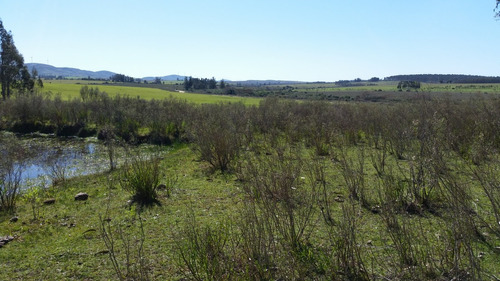 Excelente Campo A 10km De San Carlos 1km Parque Eolico