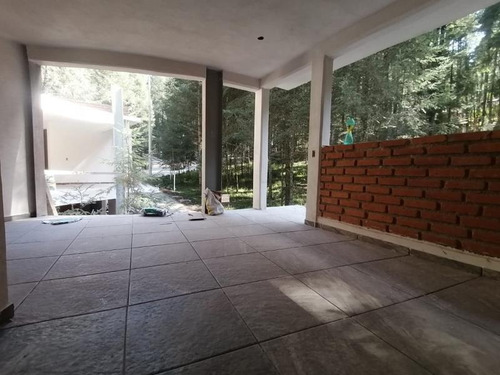 Imagen 9 de 12 de Rancho En Venta Centro