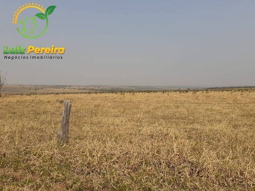 Imagem 1 de 10 de Fazenda À Venda Em Conceição Do Araguaia-pa-1.694 Hectares (dupla Aptidão) - 2028