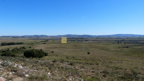 Imagen 17 de 20 de Venta De Campo De 80 Hectáreas Sobre Ruta 39