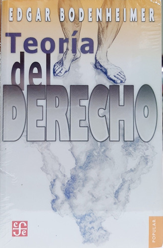 Teoría Del Derecho 