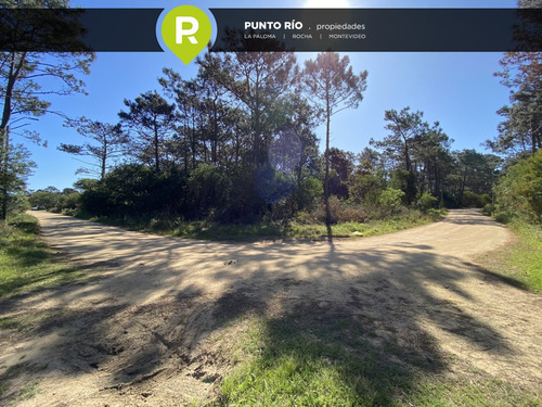 Punto Río | Playa Serena H8 Solar 29
