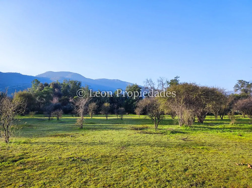 Se Venden 5 Sitios De 1000 M2 Cada Uno En Cuyuncavi Abajo